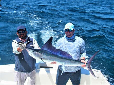 cabo san lucas fishing report